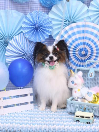 20231111空良くん